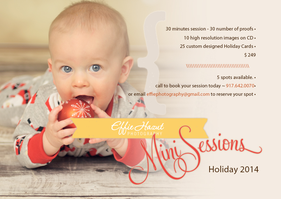 2014 Holiday Mini Sessionds